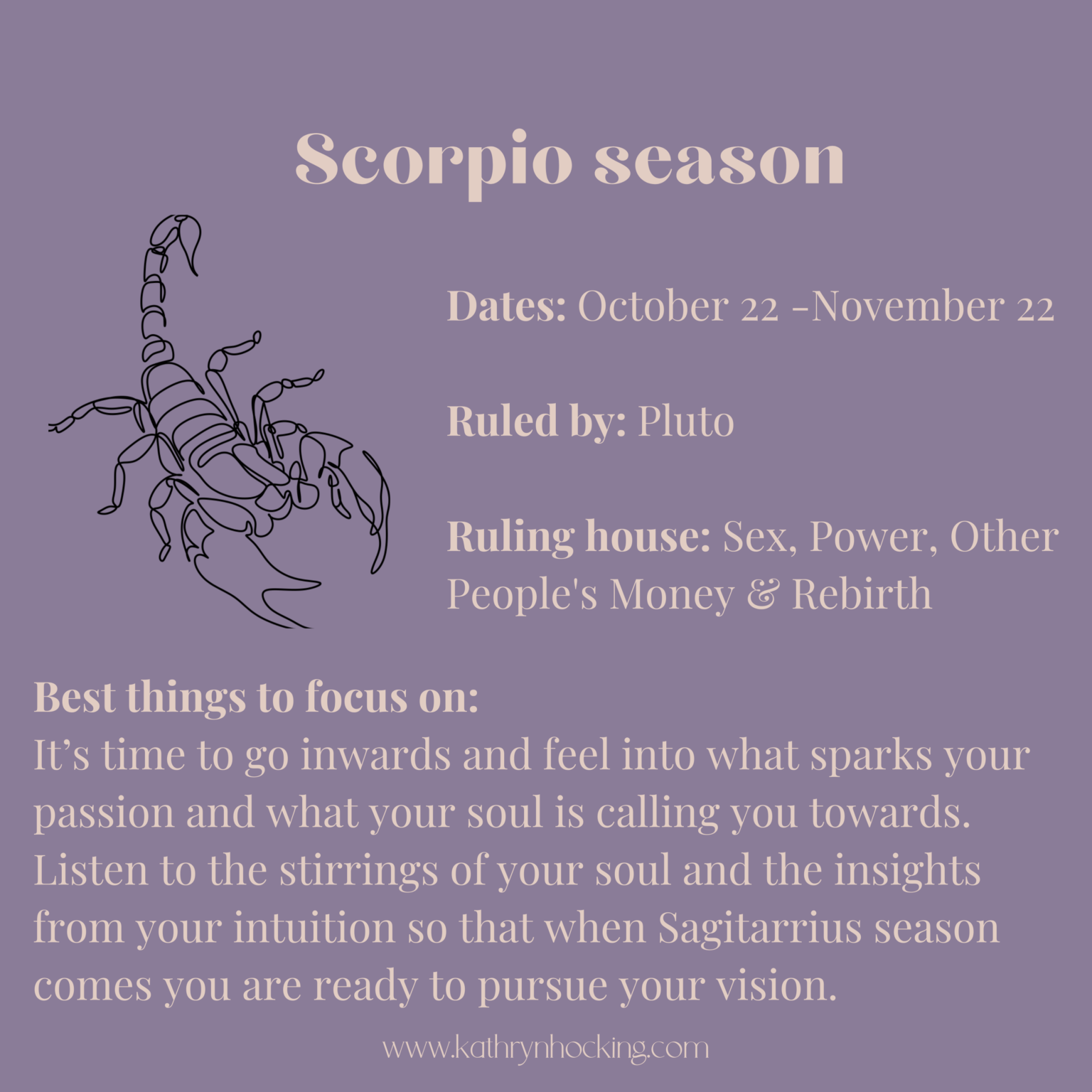 Scorpio Season - Time to go deep & find your passion